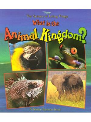 What Is the Animal Kingdom? - Boganto