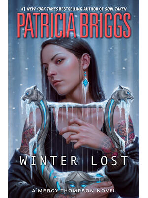 Winter Lost - Boganto