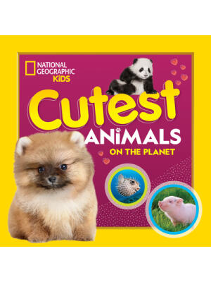 Cutest Animals on the Planet - Boganto